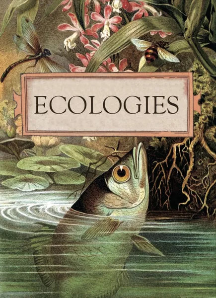 Ecologies Rental